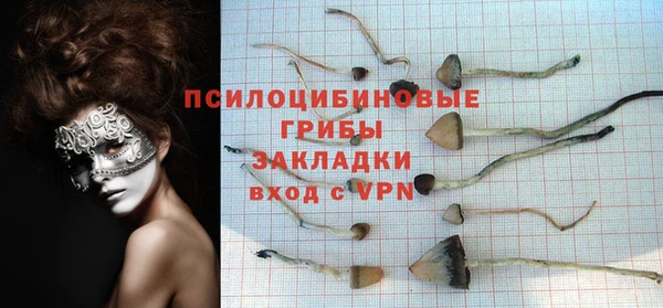 MDMA Premium VHQ Вяземский