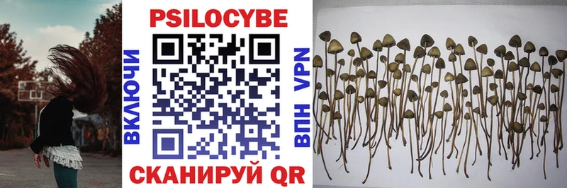 Псилоцибиновые грибы мухоморы  Купить  Лангепас 